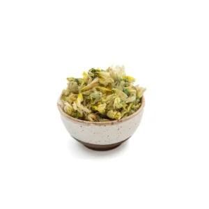 خرید گل ختمی سفید